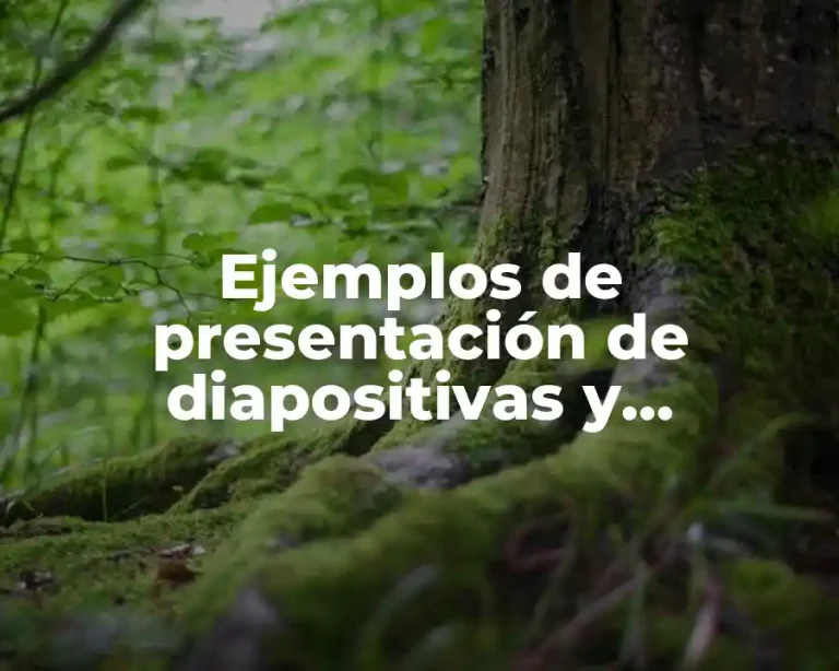 Ejemplos de presentación de diapositivas y Significado