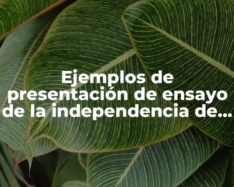 Ejemplos de presentación de ensayo de la independencia de México y Significado