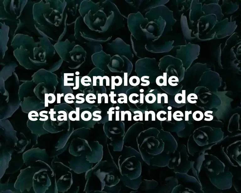 Ejemplos de presentación de estados financieros