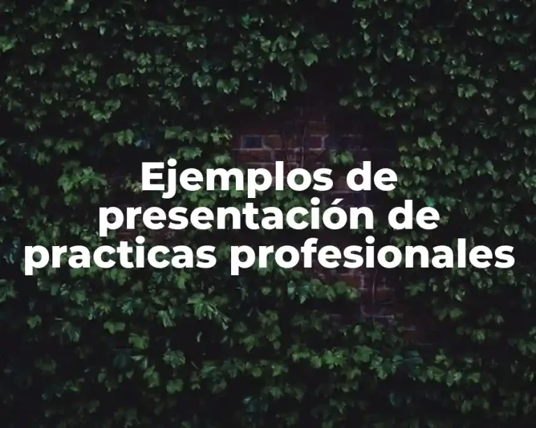 Ejemplos de presentación de practicas profesionales