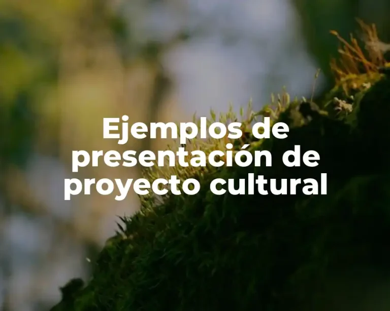 Ejemplos de presentación de proyecto cultural