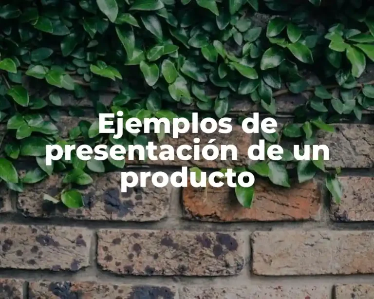 Ejemplos de presentación de un producto