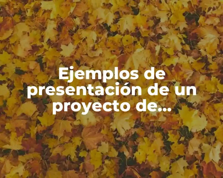 Ejemplos de presentación de un proyecto de investigación y Significado