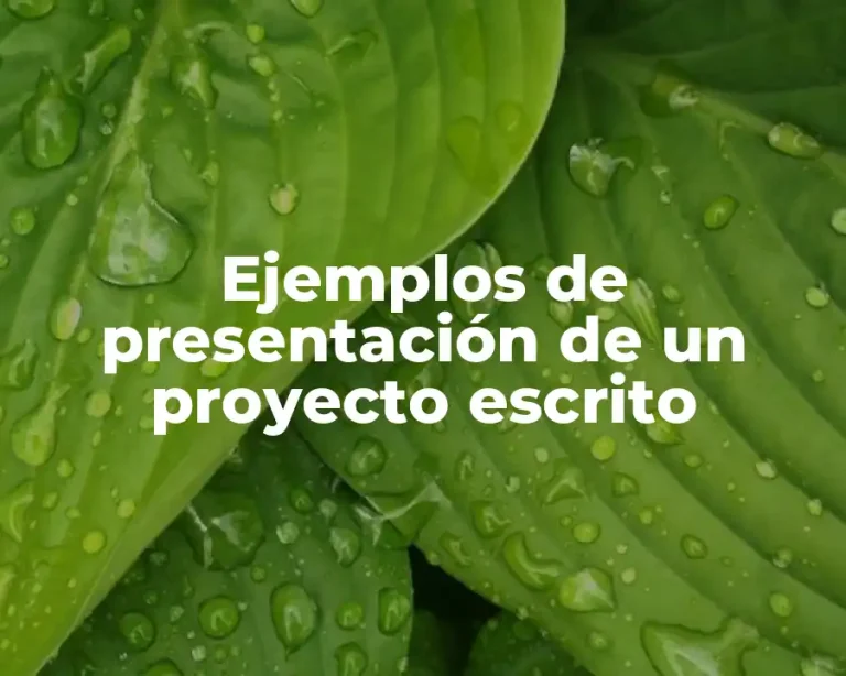 Ejemplos de presentación de un proyecto escrito