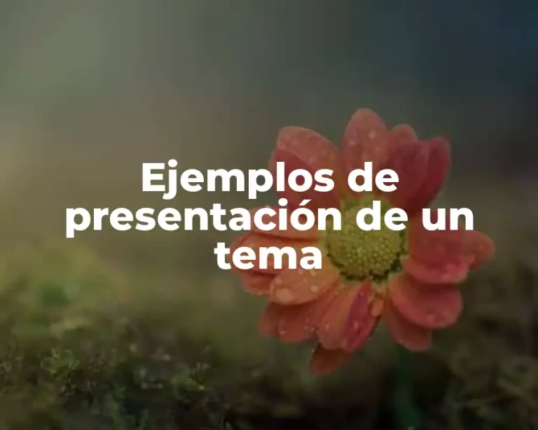 Ejemplos de presentación de un tema