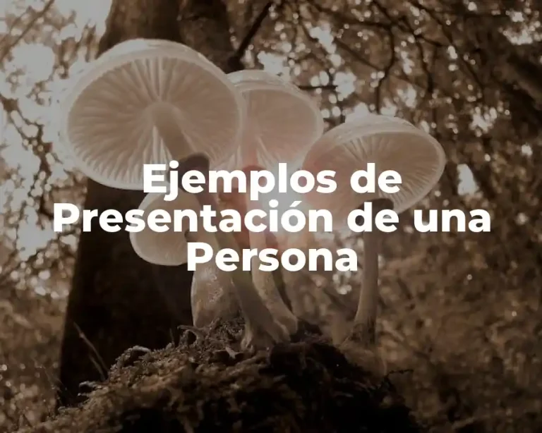 Ejemplos de Presentación de una Persona