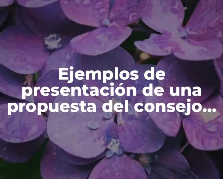 Ejemplos de presentación de una propuesta del consejo estudiantil