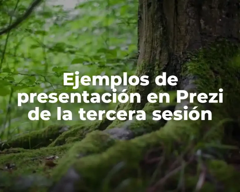 Ejemplos de presentación en Prezi de la tercera sesión