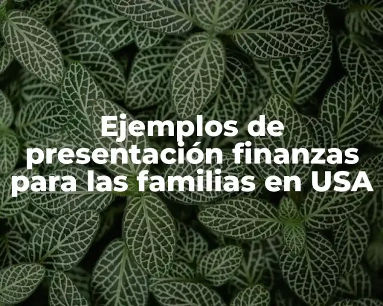 Ejemplos de presentación finanzas para las familias en USA