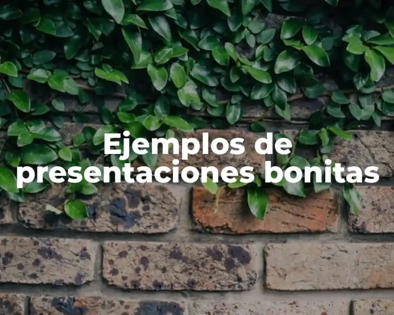 Ejemplos de presentaciones bonitas