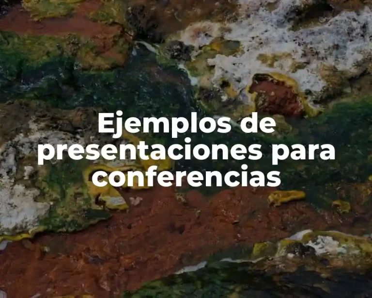 Ejemplos de presentaciones para conferencias