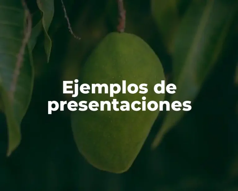 Ejemplos de presentaciones