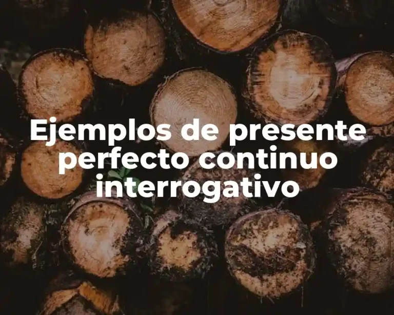 Ejemplos de presente perfecto continuo interrogativo