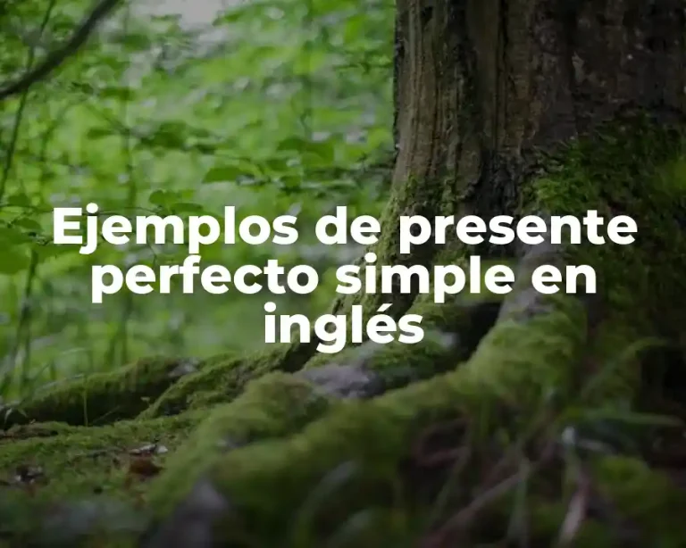 Ejemplos de presente perfecto simple en inglés