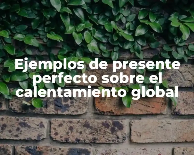 Ejemplos de presente perfecto sobre el calentamiento global