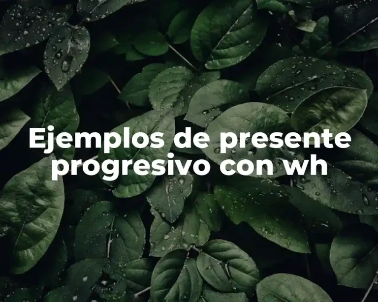 Ejemplos de presente progresivo con wh