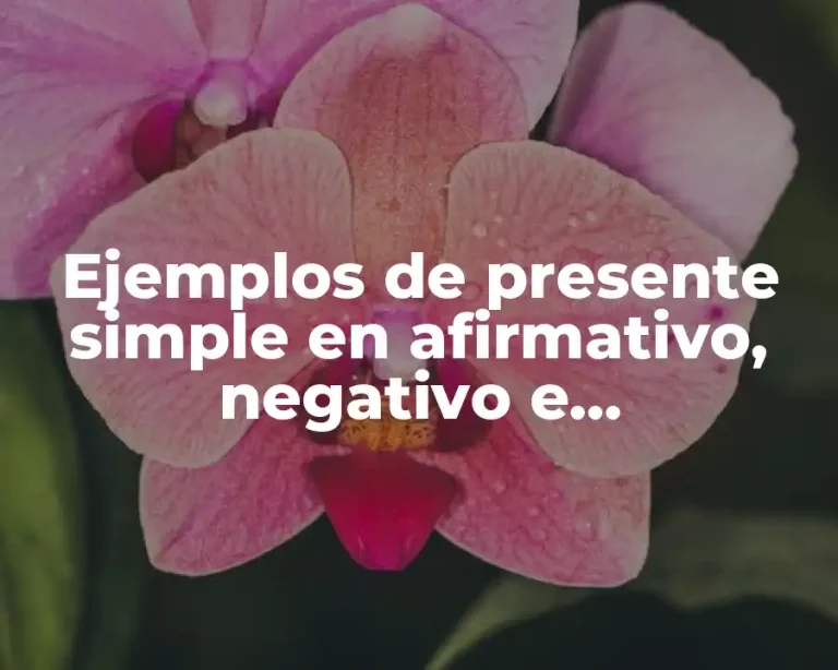 Ejemplos de presente simple en afirmativo, negativo e interrogativo