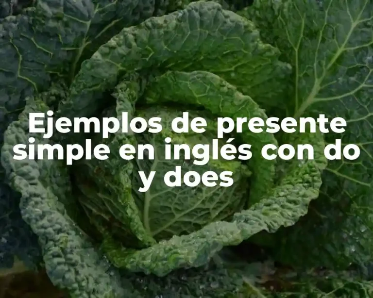 Ejemplos de presente simple en inglés con do y does