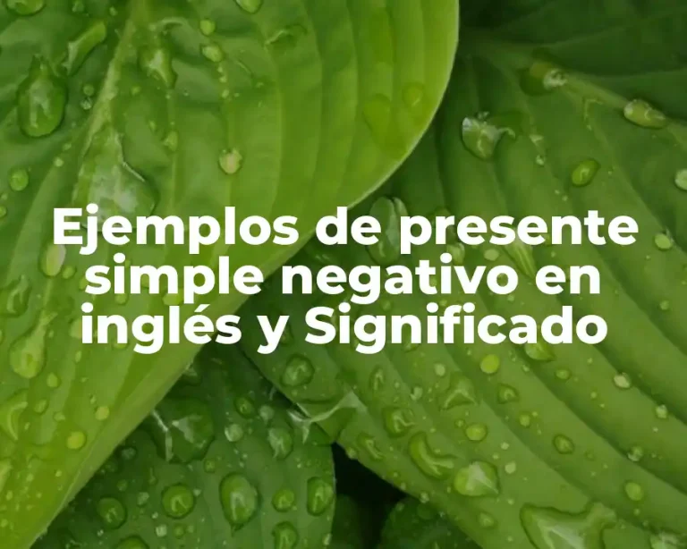 Ejemplos de presente simple negativo en inglés y Significado