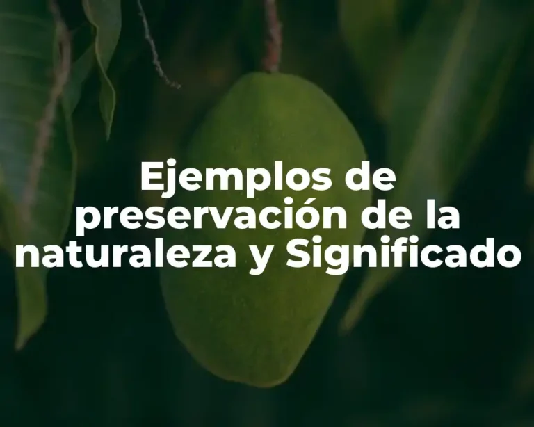 Ejemplos de preservación de la naturaleza y Significado