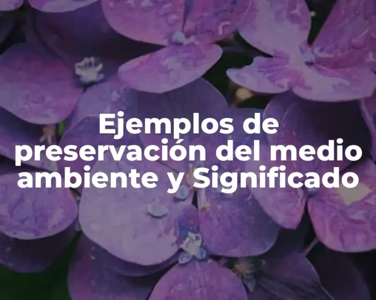 Ejemplos de preservación del medio ambiente y Significado