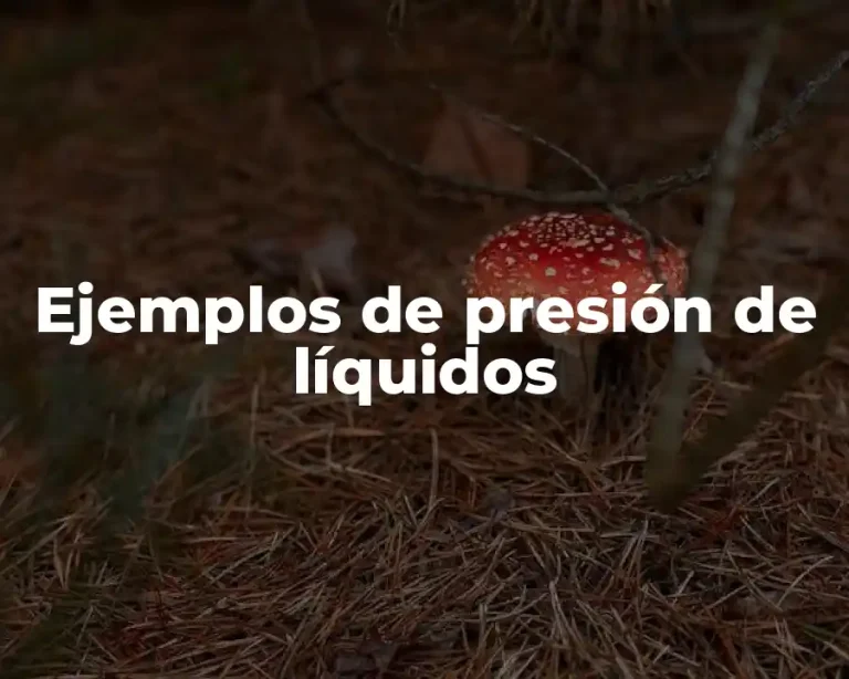 Ejemplos de presión de líquidos