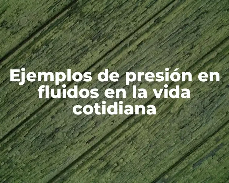 Ejemplos de presión en fluidos en la vida cotidiana