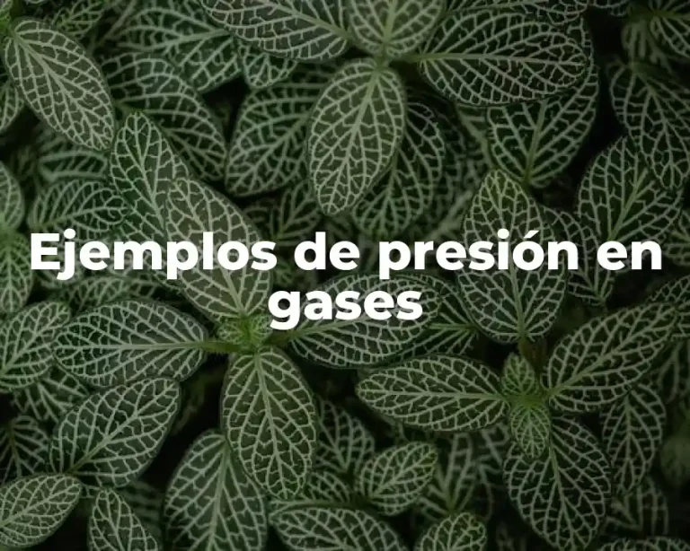 Ejemplos de presión en gases