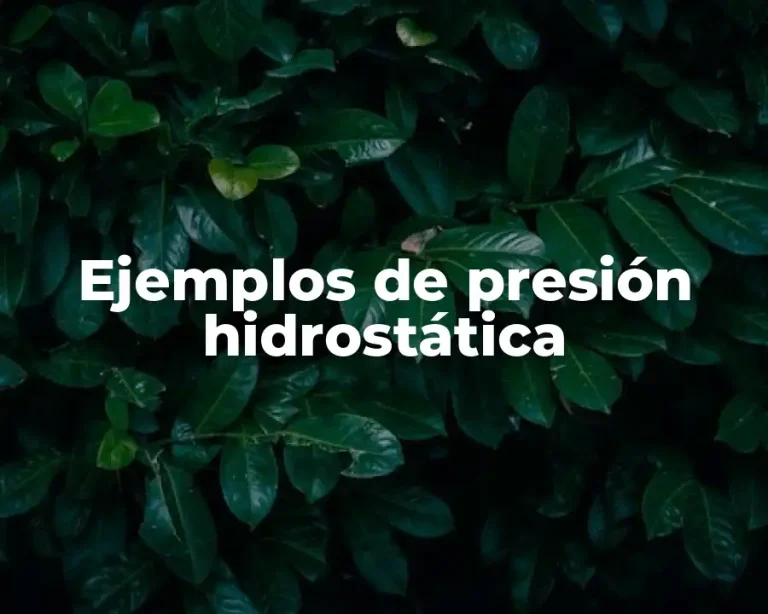 Ejemplos de presión hidrostática