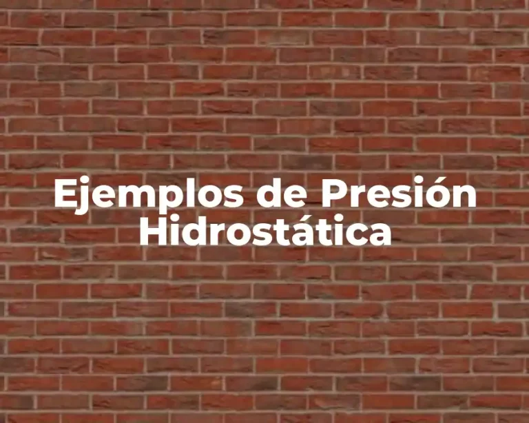 Ejemplos de Presión Hidrostática