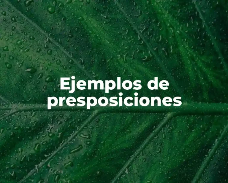 Ejemplos de presposiciones