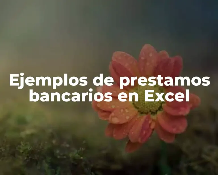 Ejemplos de prestamos bancarios en Excel