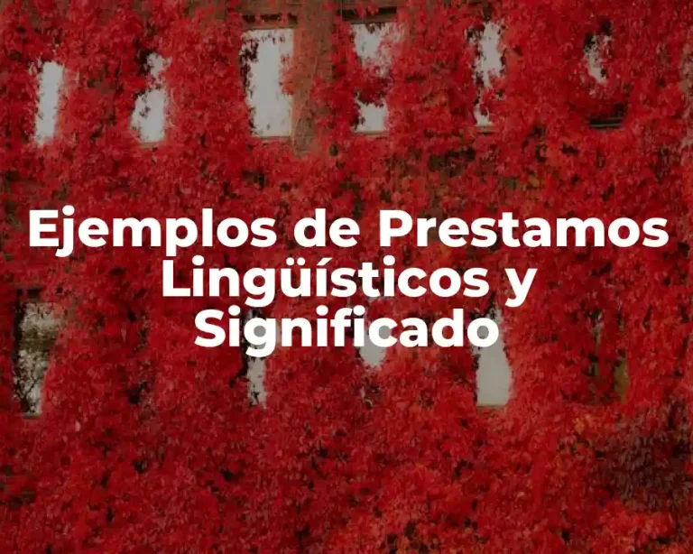 Ejemplos de Prestamos Lingüísticos y Significado