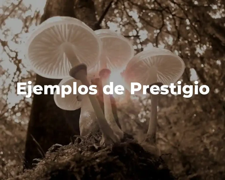 Ejemplos de Prestigio