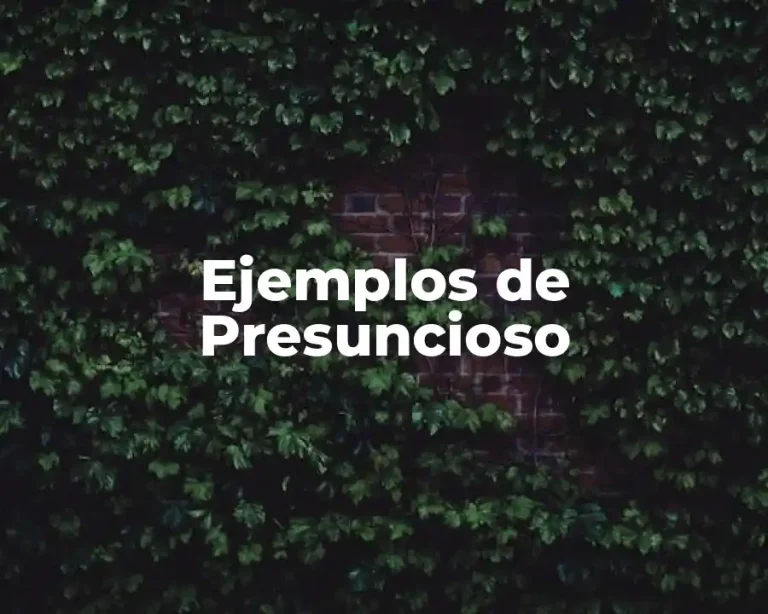 Ejemplos de Presuncioso