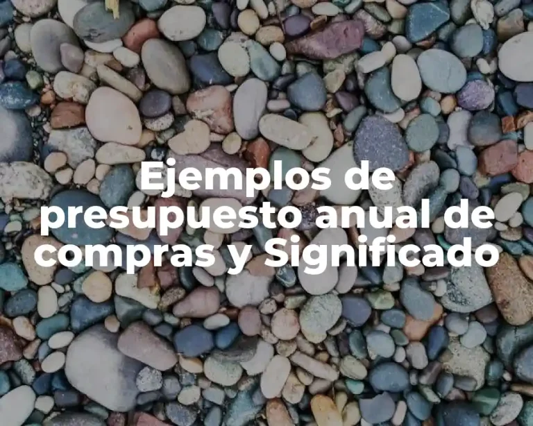 Ejemplos de presupuesto anual de compras y Significado