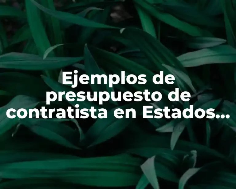Ejemplos de presupuesto de contratista en Estados Unidos