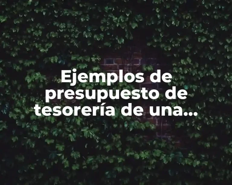 Ejemplos de presupuesto de tesorería de una empresa