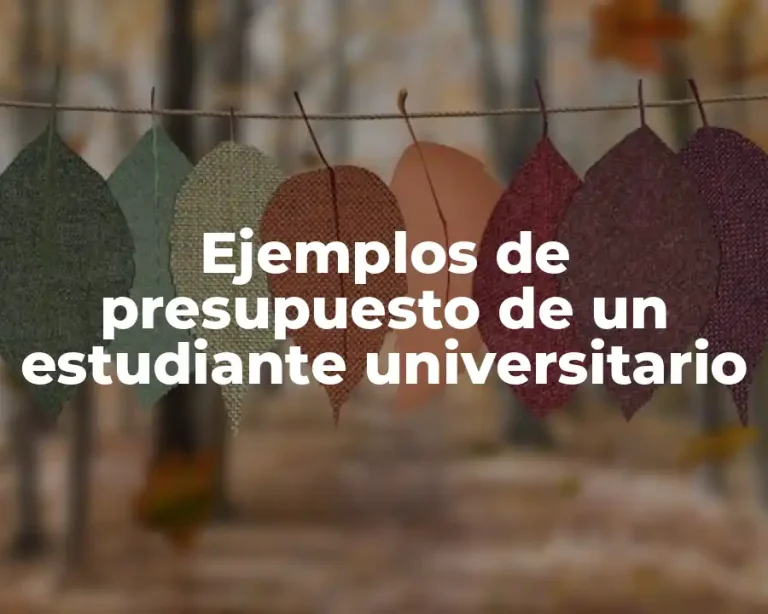 Ejemplos de presupuesto de un estudiante universitario