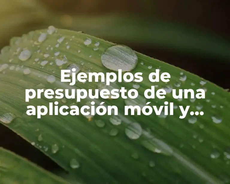 Ejemplos de presupuesto de una aplicación móvil y Significado