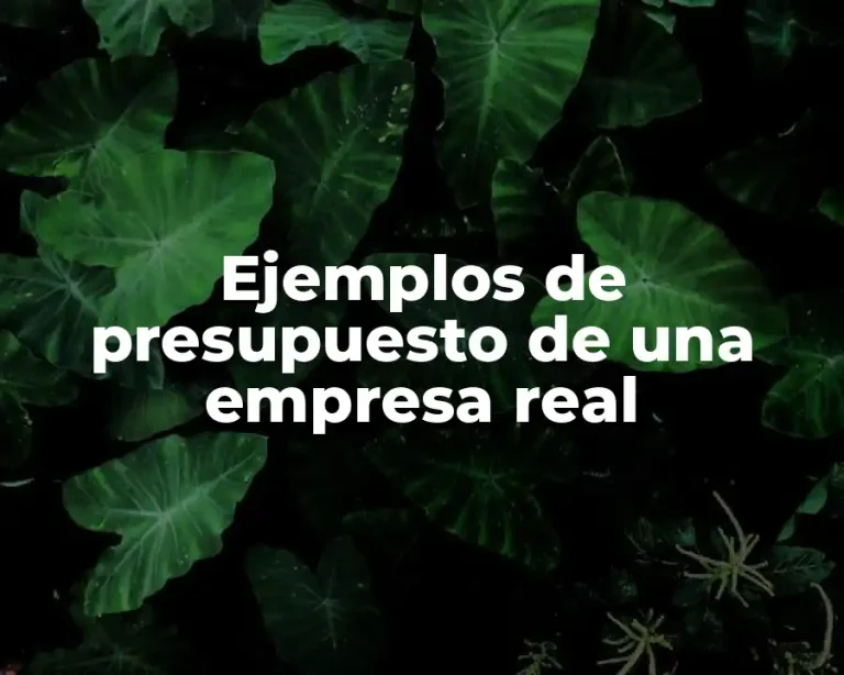 Ejemplos de presupuesto de una empresa real