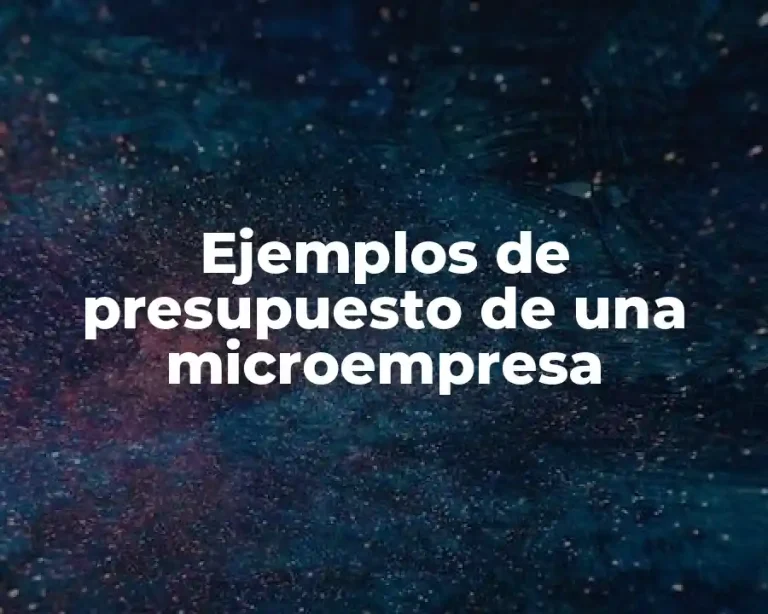 Ejemplos de presupuesto de una microempresa