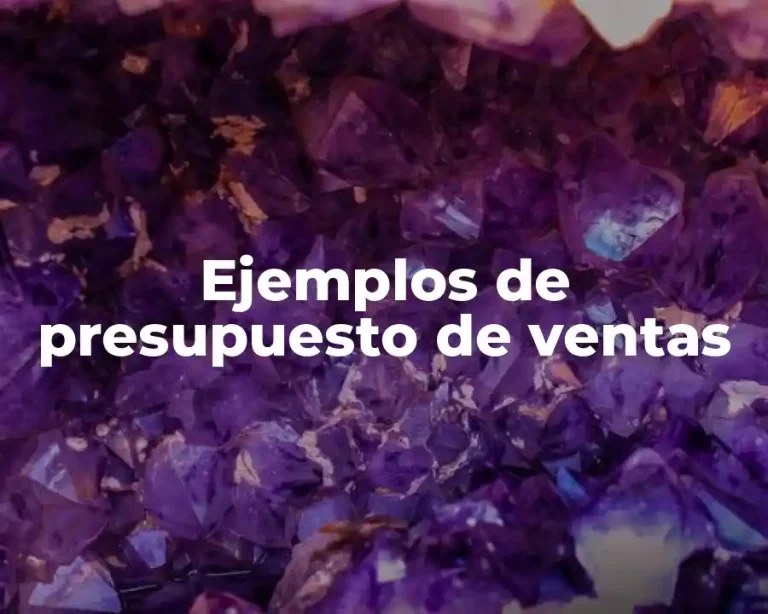 Ejemplos de presupuesto de ventas