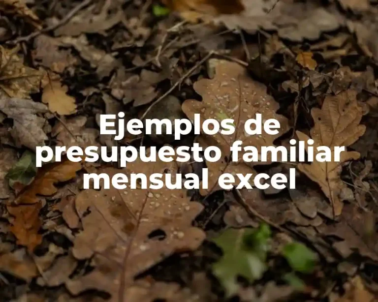 Ejemplos de presupuesto familiar mensual excel