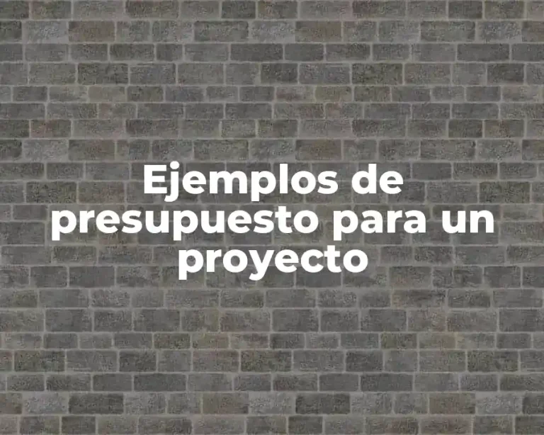 Ejemplos de presupuesto para un proyecto