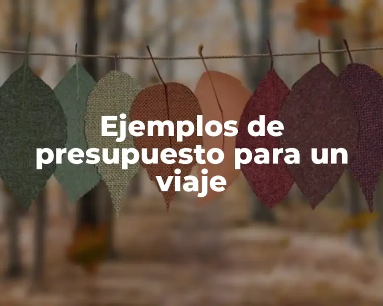 Ejemplos de presupuesto para un viaje