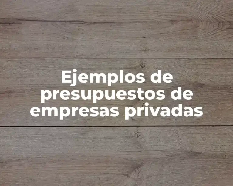 Ejemplos de presupuestos de empresas privadas