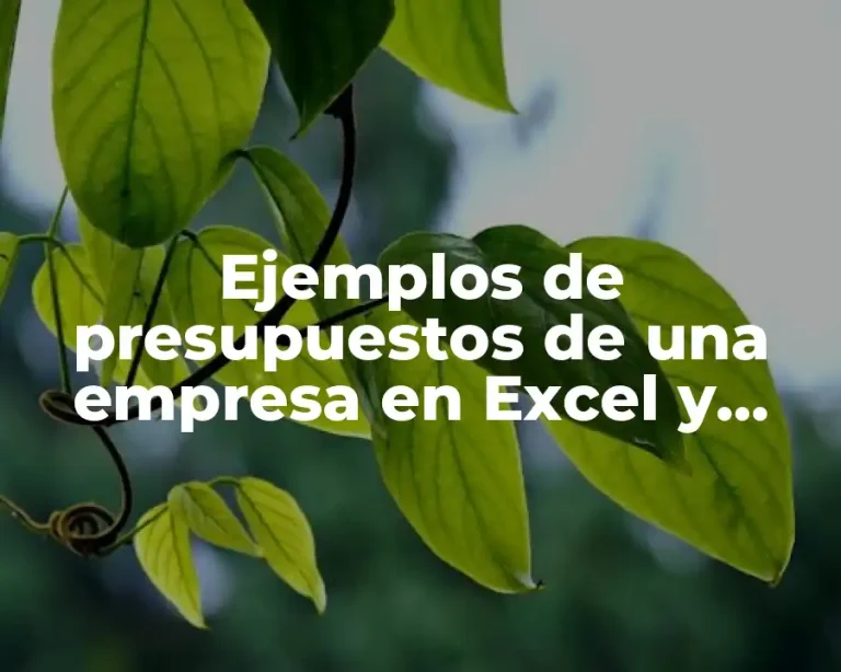 Ejemplos de presupuestos de una empresa en Excel y Significado