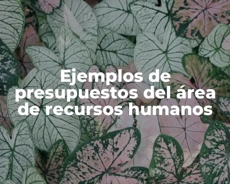 Ejemplos de presupuestos del área de recursos humanos