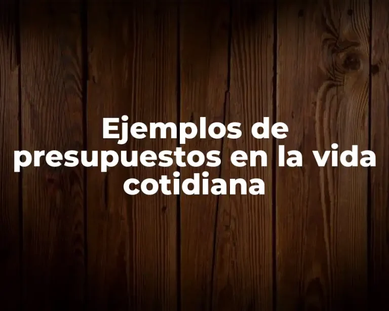 Ejemplos de presupuestos en la vida cotidiana